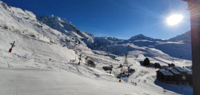 Bel appartement rénové à Belle Plagne